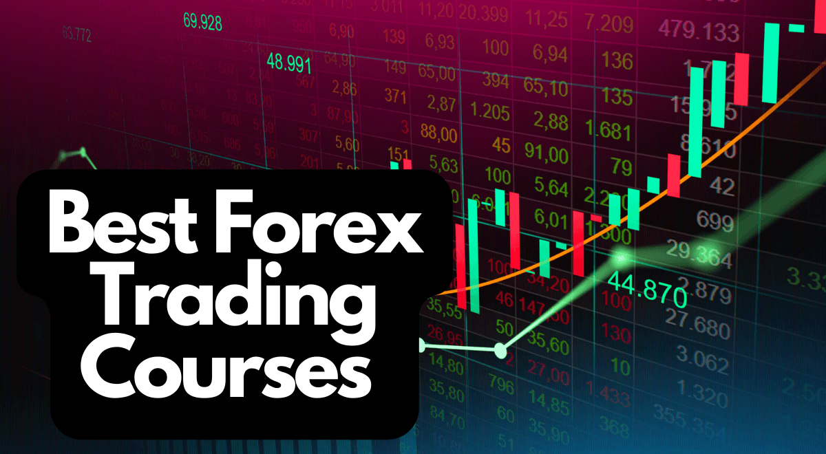 Forex Course